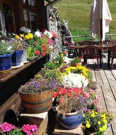 Vakantiehuis Galibert, - Cycle - Hike In The Oisans Grandes Sables